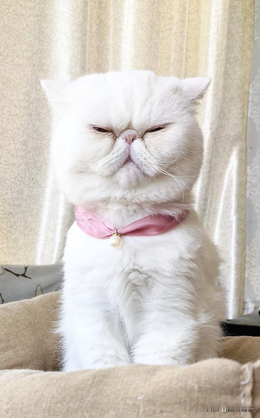 上联：日日开开心心，
下联…月月和和美美。友友请邀对下联 友友对出上联 友友请邀