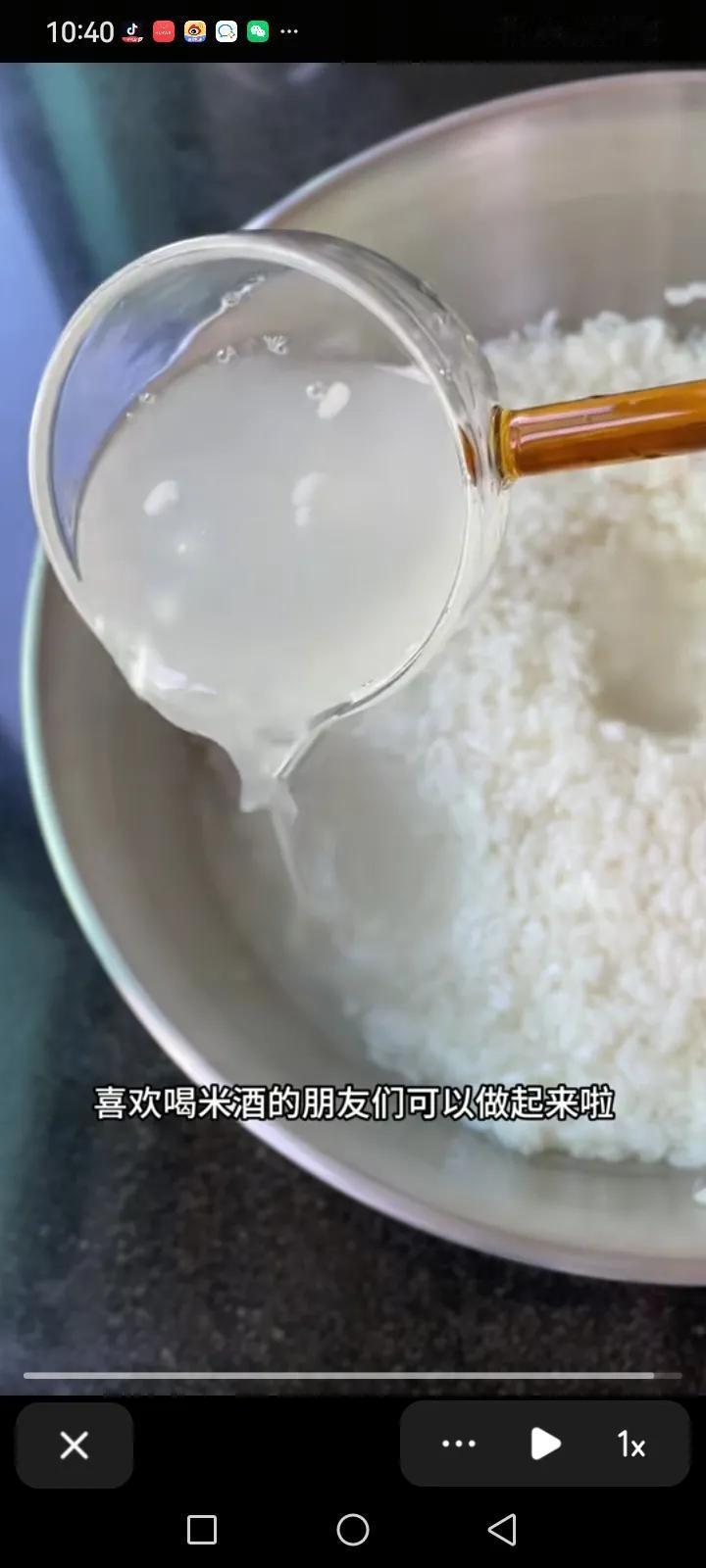 醪糟初体验：一罐会呼吸的糯米

第一次做醪糟前，我连酒曲长什么样都不知道。  