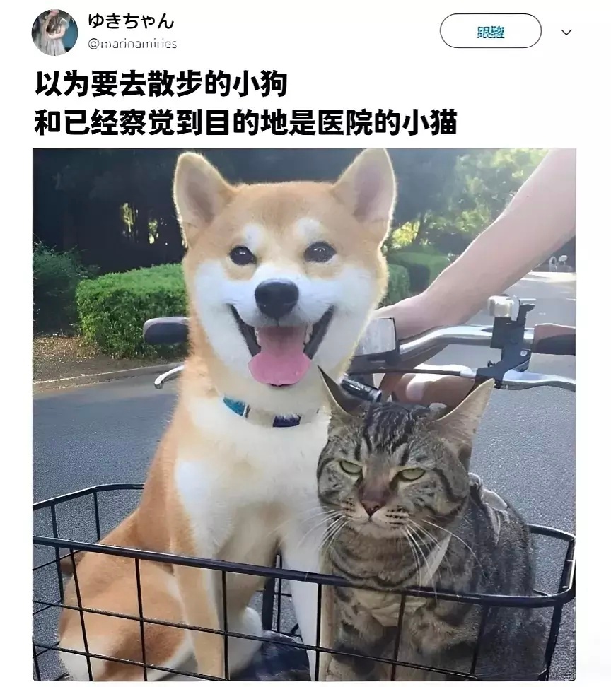 [笑cry][笑cry][笑cry] ​​​