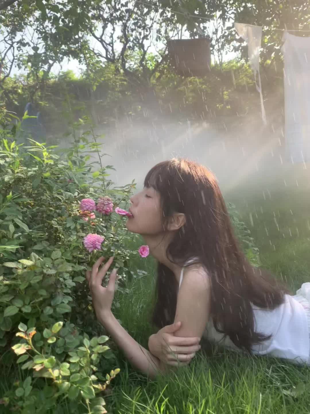与夏天对望
