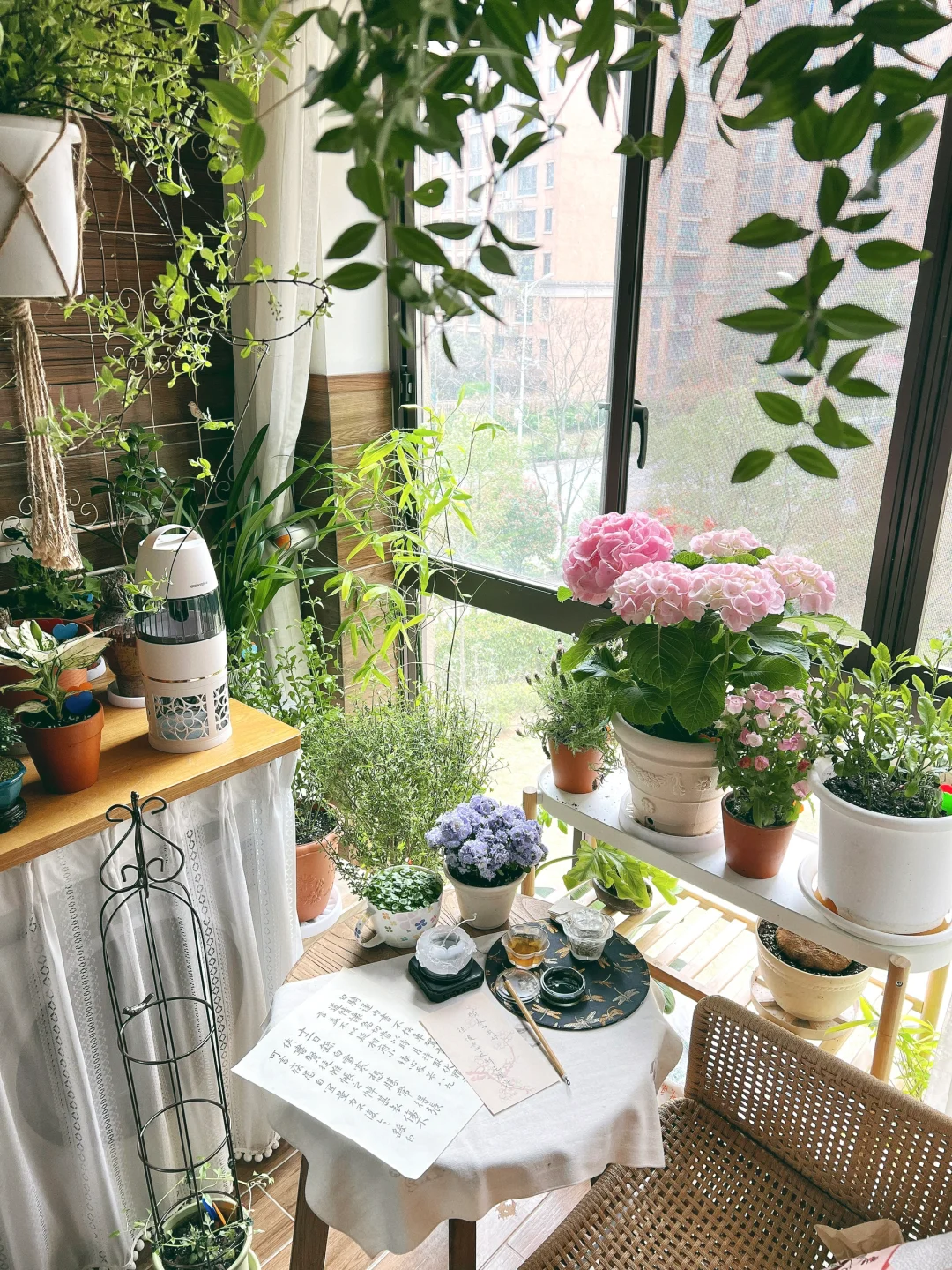 春日宅家🪻你愿意用30天打造一个阳台花园吗