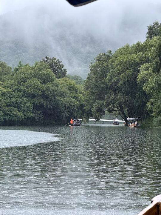 Live图｜谁懂雨天在西湖坐摇橹船的含金量啊！