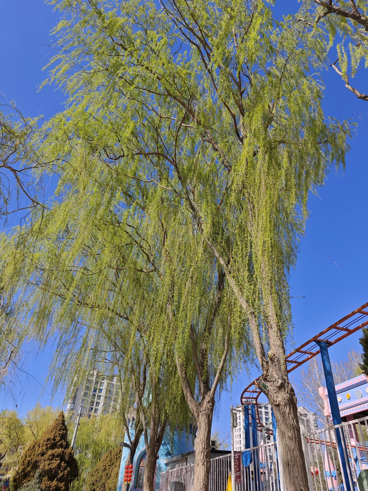 横批：四季如画！