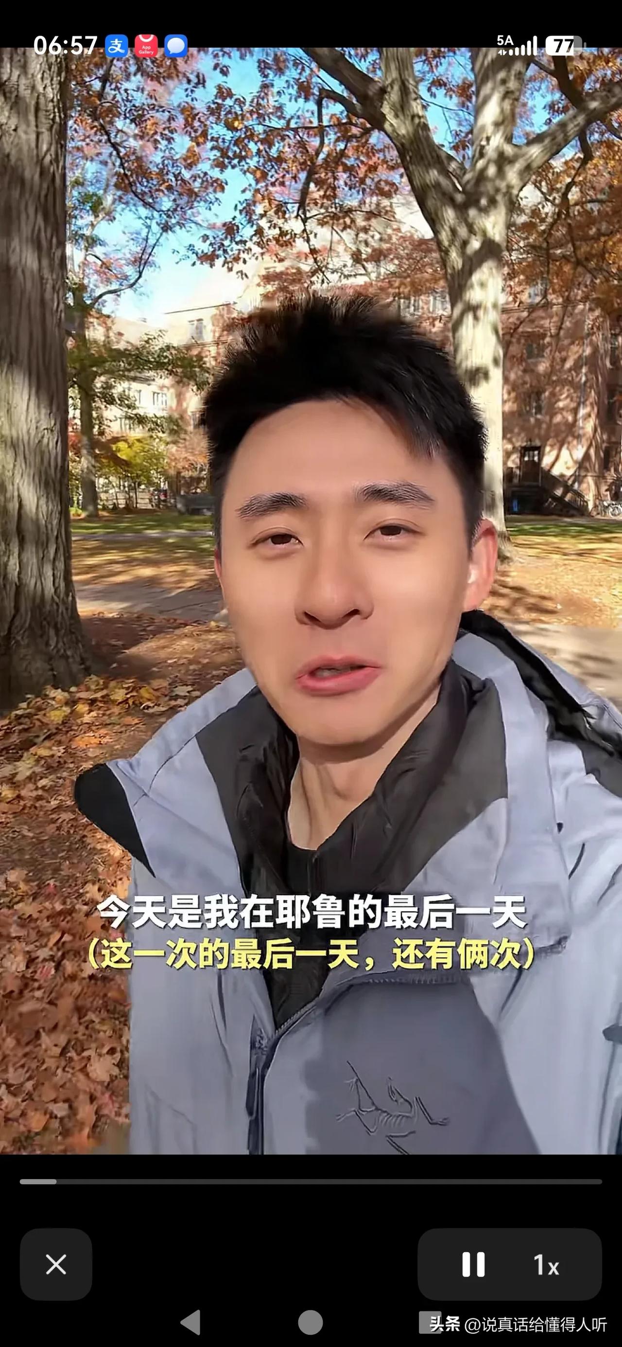 徐州矿大也要保留或者移栽这种大树古树。