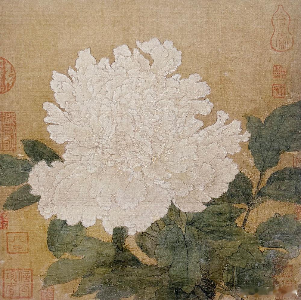 【中华名画欣赏 宋代——《牡丹图》】       《牡丹图》传为徐熙之作。画面中