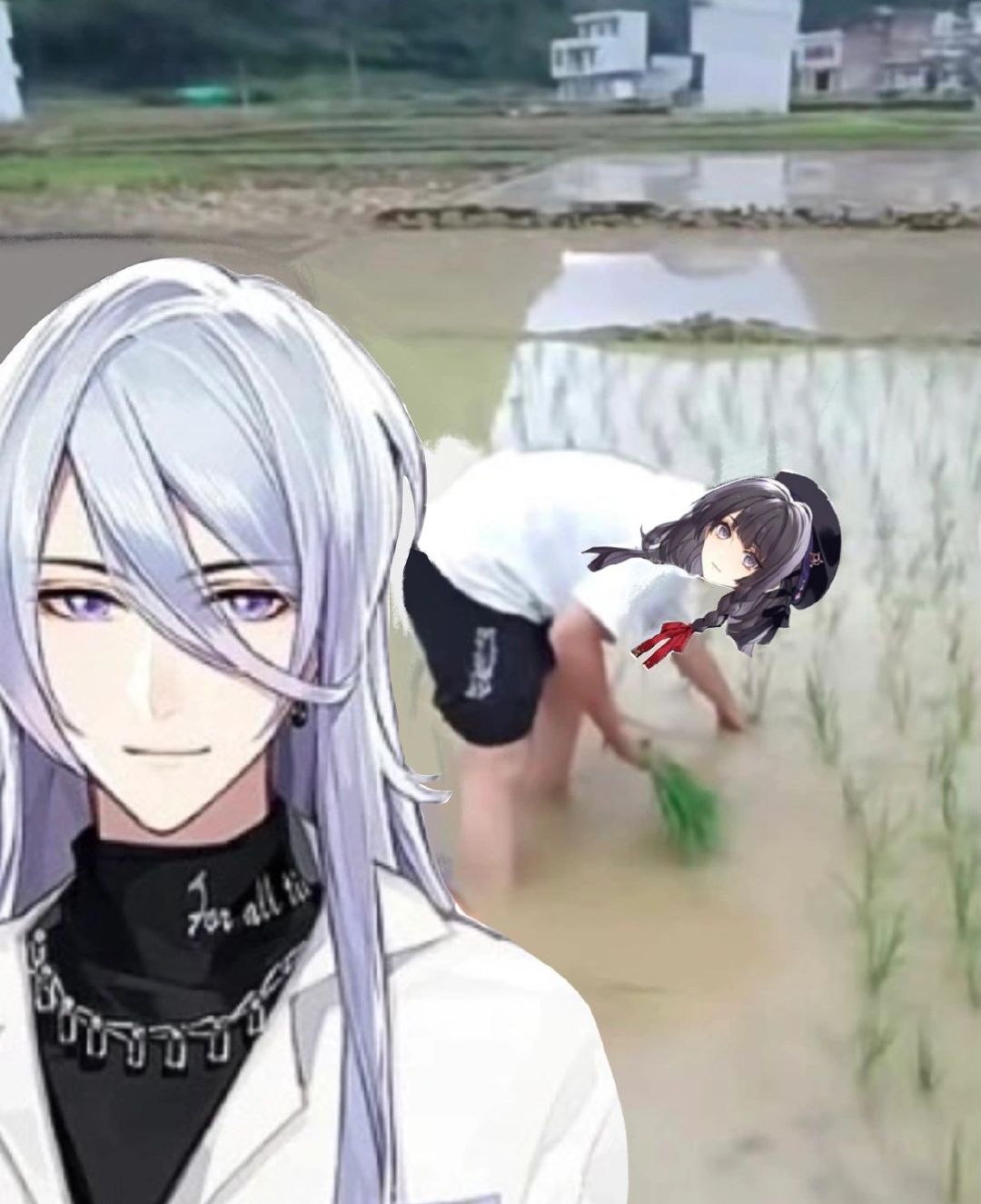 我家公子会插秧喔[笑而不语]#时空中的绘旅人# ​​​