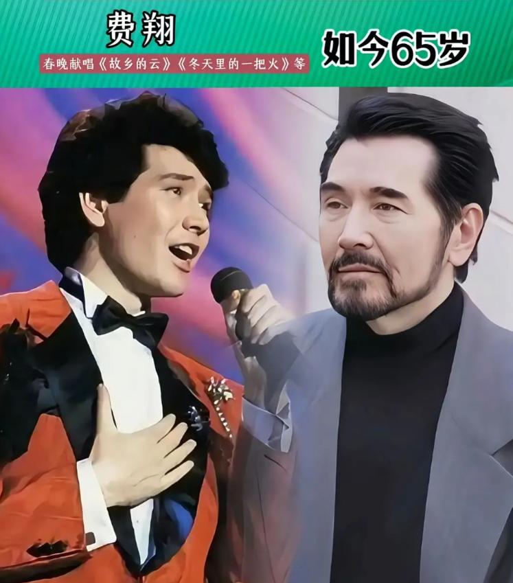 春晚上常见的18位歌星，他们的歌声承包了一代又一代人的青春和回忆，如今看到照片，