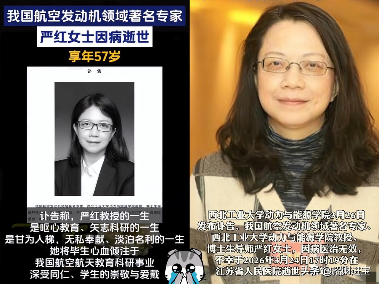 今天看到个消息，心里堵得慌。

西工大动力与能源学院的教授、博导严红，永远停在了