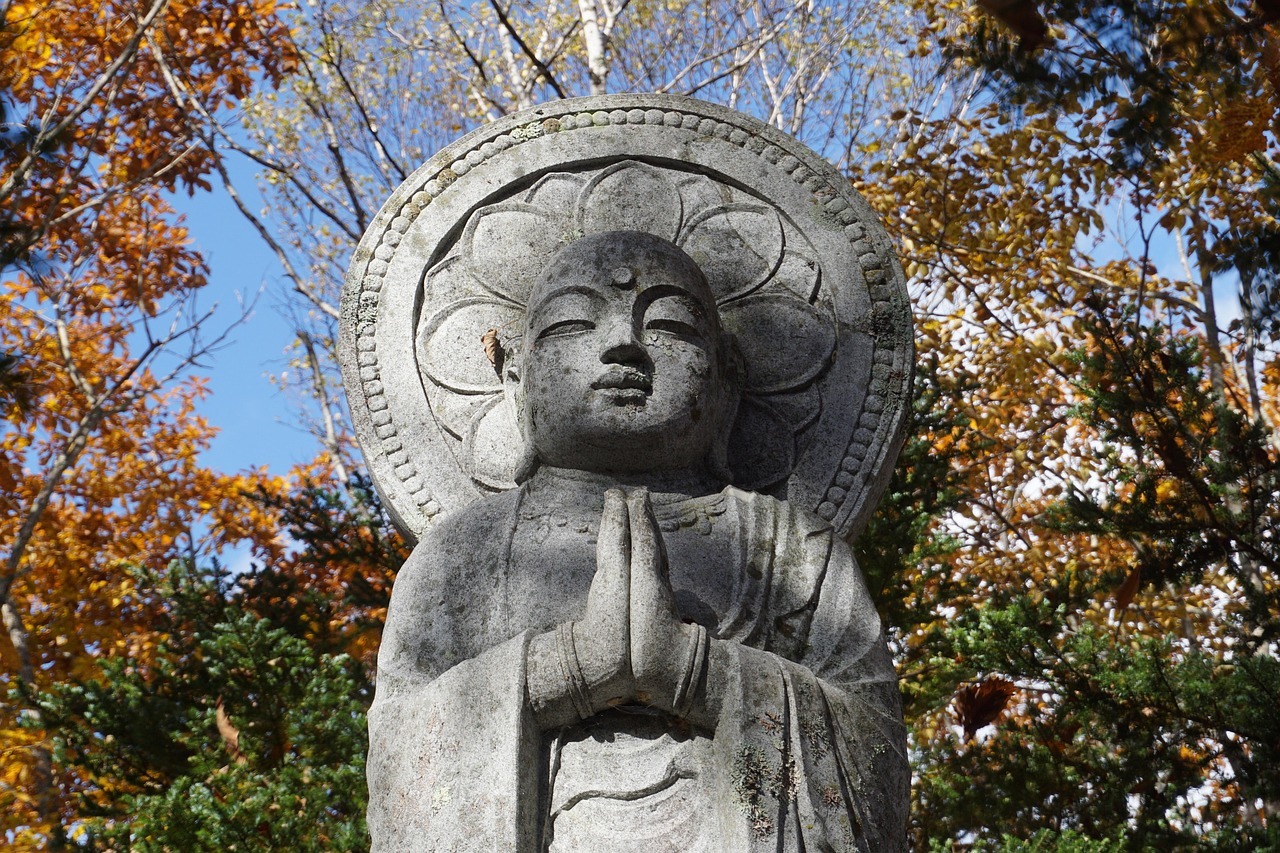 首次实现50%绿氢掺烧，直接让现有煤电机组碳排放减半。这技术的核心价值在于“改造