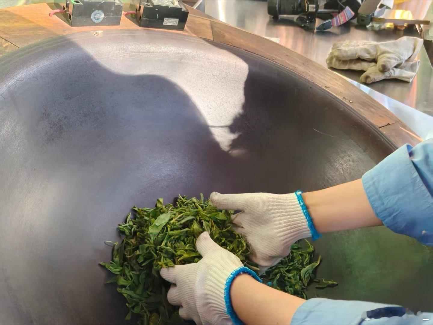 咖位云南点赞云南  在云南，一杯咖啡、一盏普洱，都是可持续生活的温柔注脚。荫栽咖