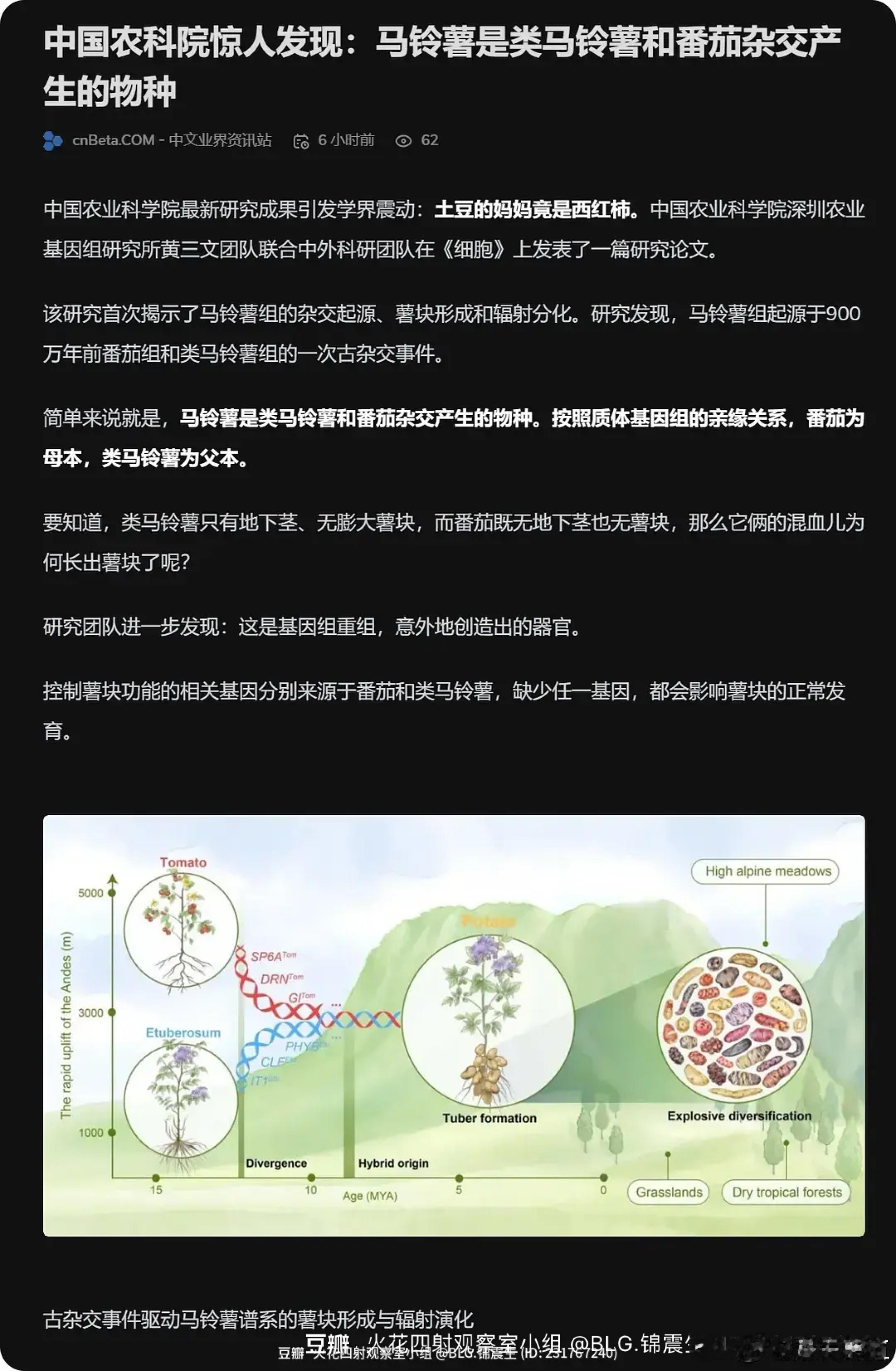 原来土豆🥔的妈妈是西红柿🍅 ​​​