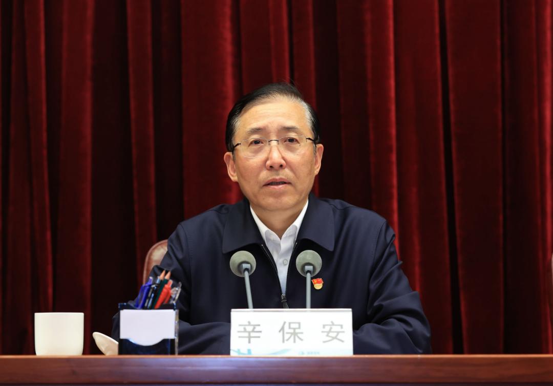 国网原董事长辛保安接受审查调查
 
电力是国民经济的基础命脉，国家电网作为中央直