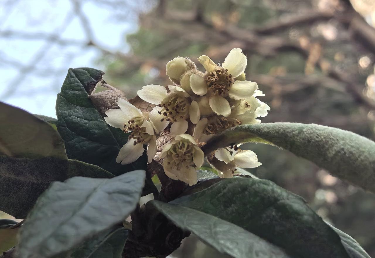 【热评】这样的要求于法无据
新家被邻居误入烧纸业主要求换房

杭州萧山回迁房被邻