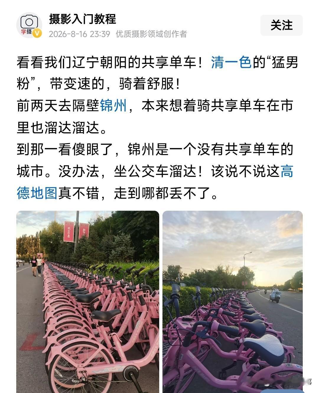 锦州市区内没有共享单车这事是过不去了，但是锦州海边有共享电动车，我个人觉得共享单