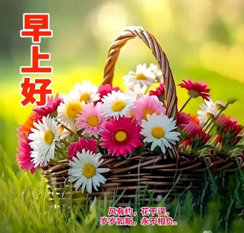 问候你真心实意
希望你每天开心
祝福你健康快乐