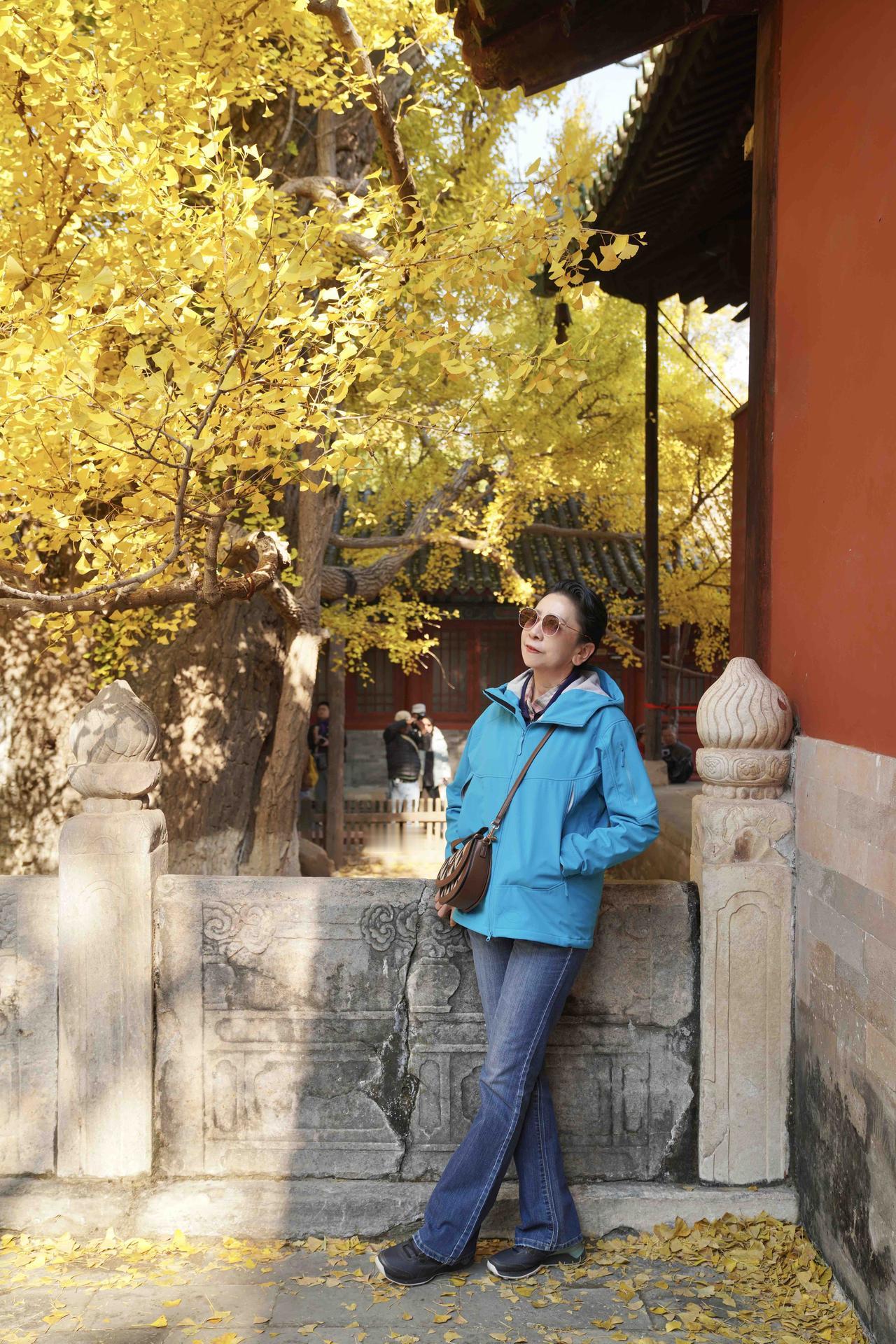 登高望远，不负这个金秋🍂跟家人去了大觉寺和潭柘寺，天气晴好，赏千年古刹的银杏树