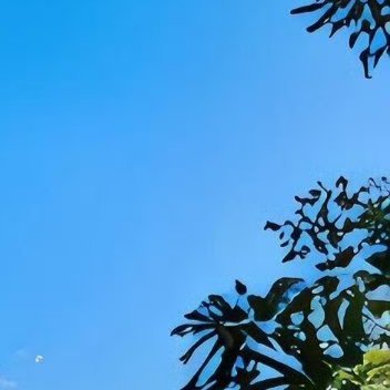 1000现在热门的算力租赁、算力基金、算力股票，本质就是：买能提供超强算力的服务