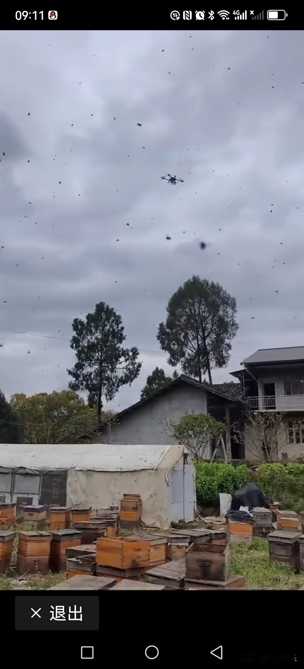 这个不明无人机又来养蜂场上空打农药了，这个难道就没有人来管吗？

现在越来越过份