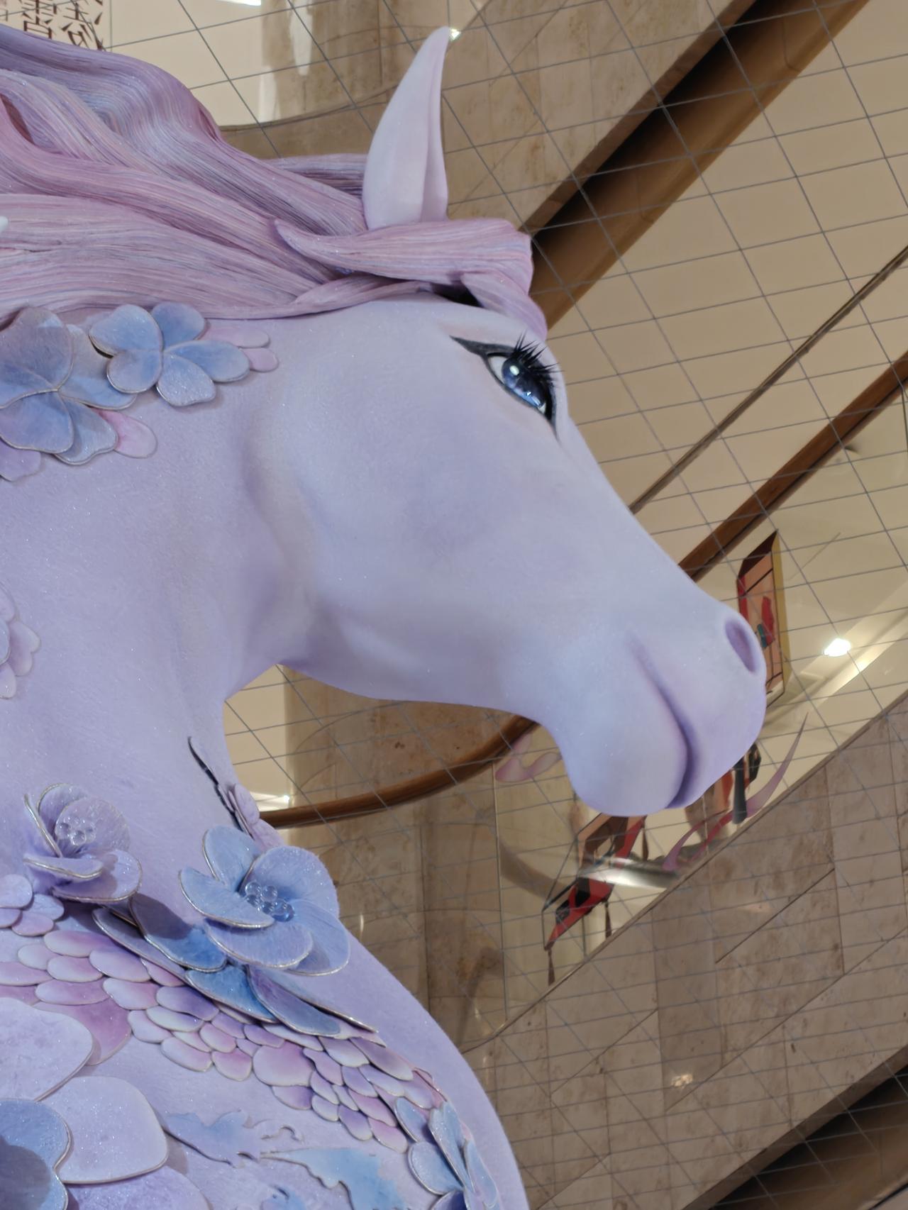 南京为什么那么多鸭子店？南京人这么爱吃鸭子吗？还有素什锦[笑哭][笑哭]