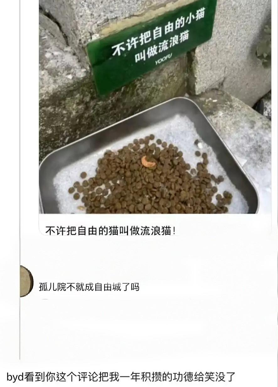 这个评论把我一年的功德都笑没了