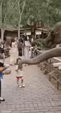 小女孩：有人拿我的冰激凌。
妈妈：谁。
小女孩：大象。
妈妈：算了，那不是人。