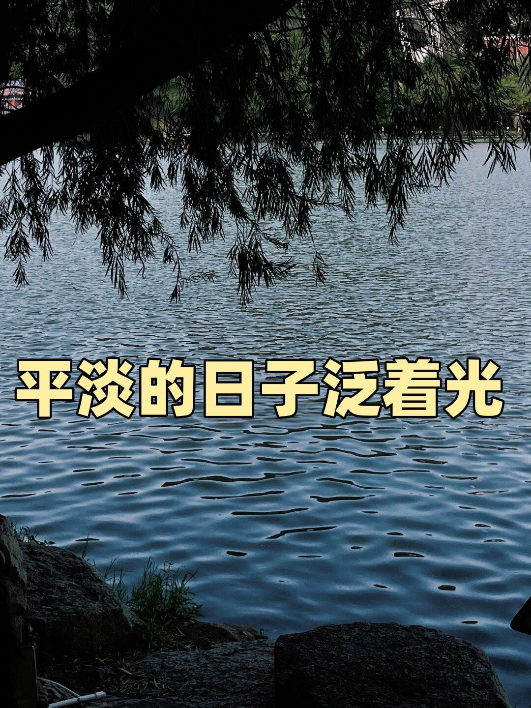 平淡生活的乐趣是什么？
       寻常日子里的小乐趣，压根用不着耗费重金去换