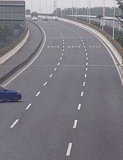 真不知道她咋拿到驾照的