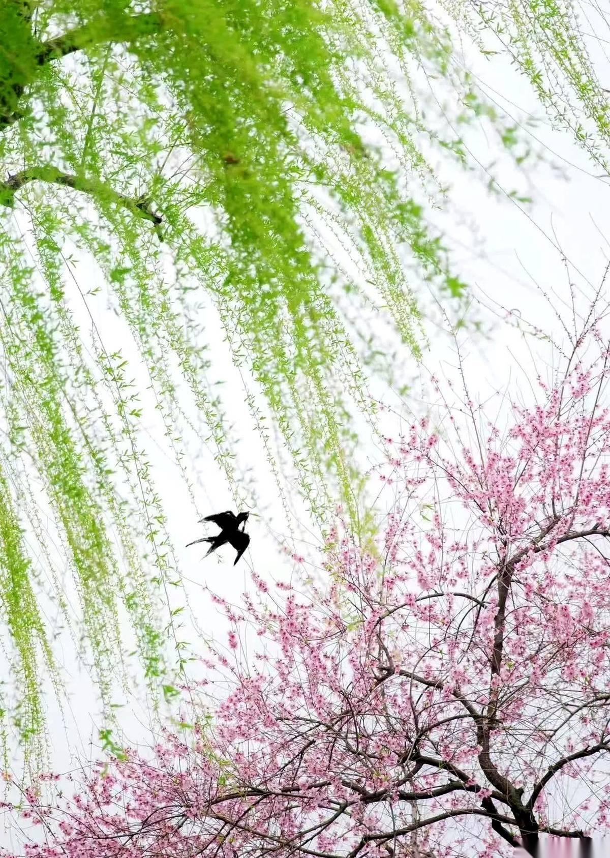 老一辈总觉得，拼了老命给孩子在城里全款买套房、存个七位数的折子，这辈子的任务就算