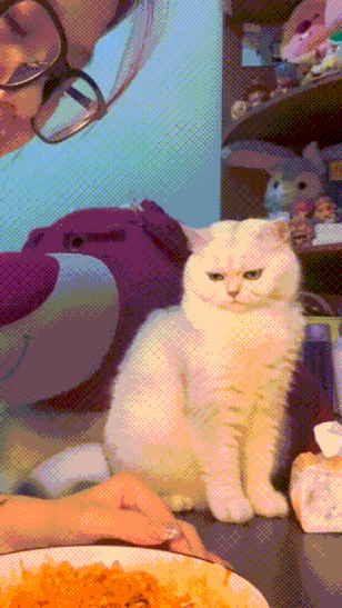 这把“无实物表演”绝了！