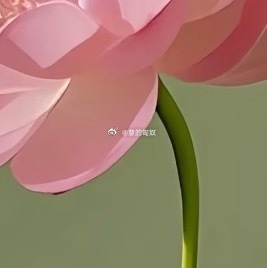 信任是人与人沟通的必要条件，人生之幸，莫过于被人信任；人生之憾，莫过于失信别人，