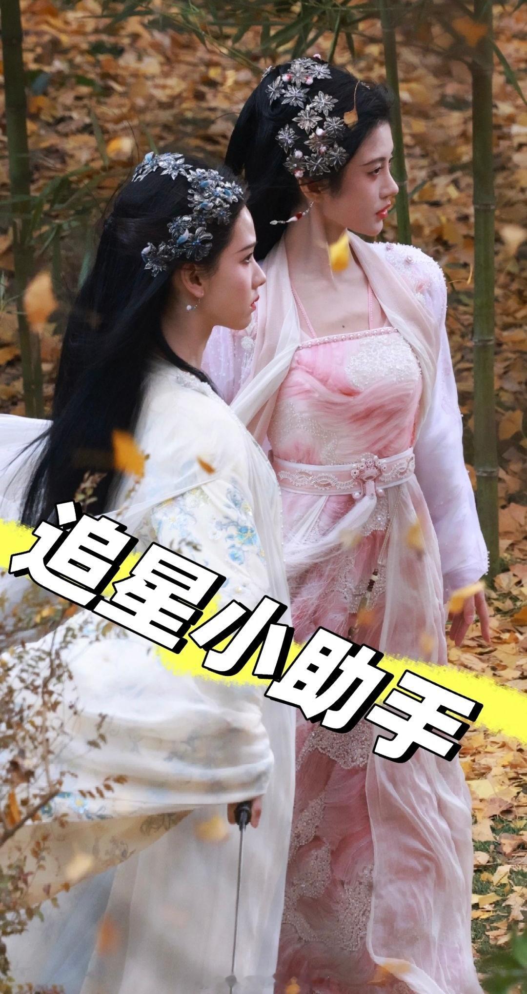 鞠婧祎陈都灵竹林同框路透 这同框太养眼了 