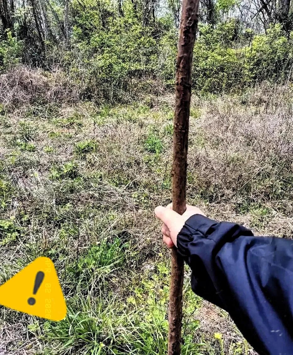 今年清明我看到一个特别现实的事：
越是普通家庭，清明上坟的人越少，大多就一两个人