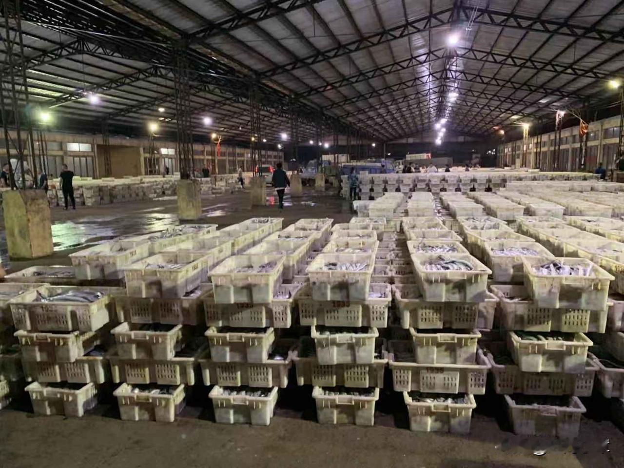 咱们带鱼天天捕捞，保证新鲜。顺丰包邮，远的地区空运到家，绝对新鲜。欢迎咨询[比心