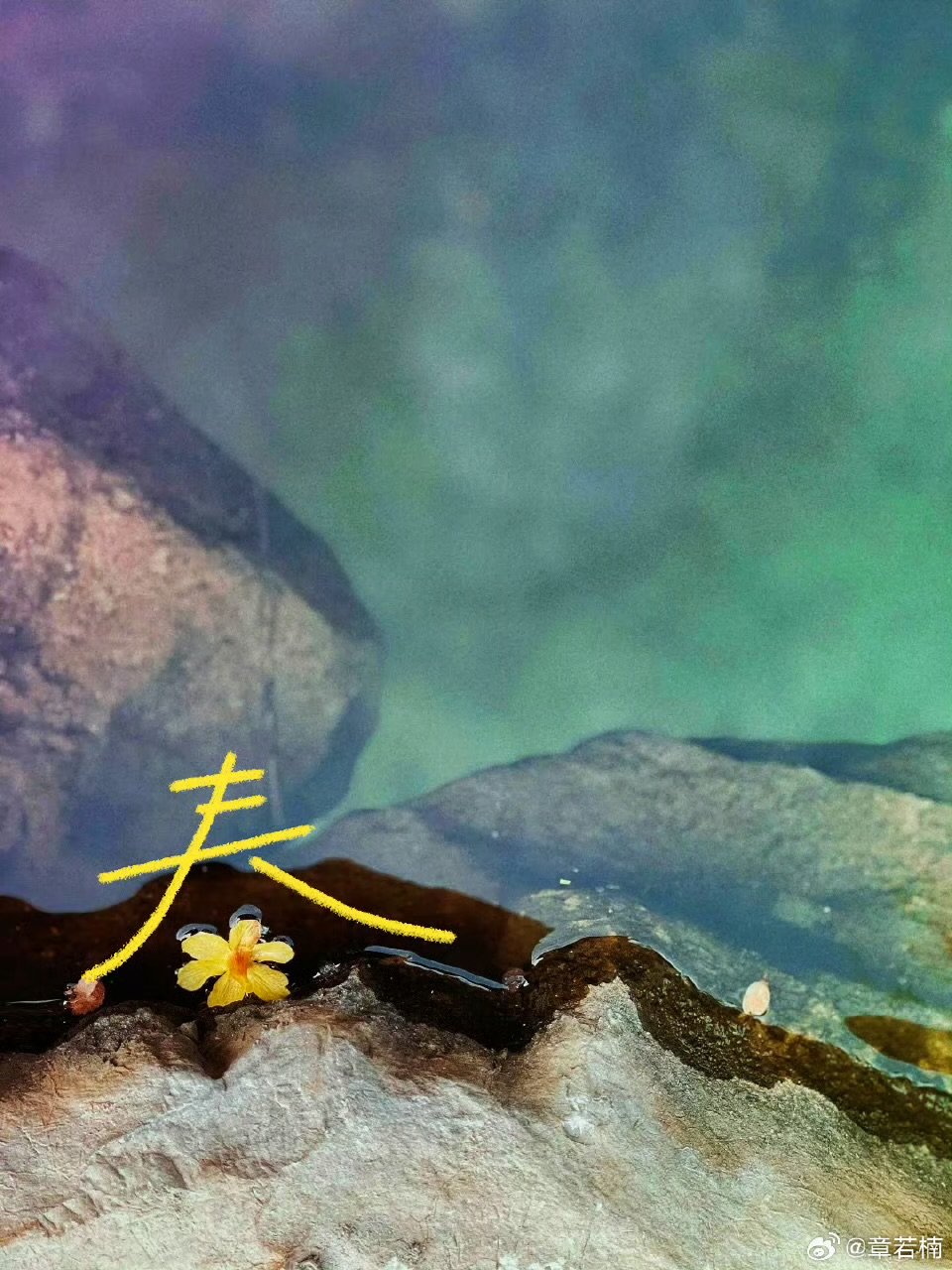 章若楠我们在春天见面吧章若楠跨过冬日我们在春天见面吧 跨过冬日，我们在春天见面吧