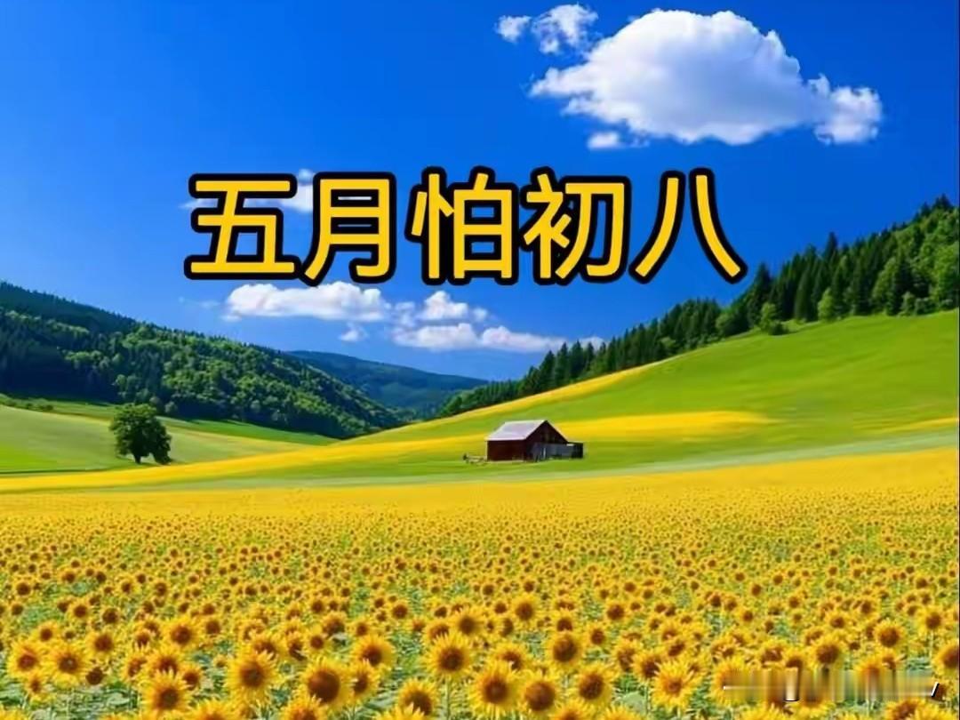 今日五月初八是“收日”，有空没空，记得：1不买，2不安，3要做
 
农历五月初八