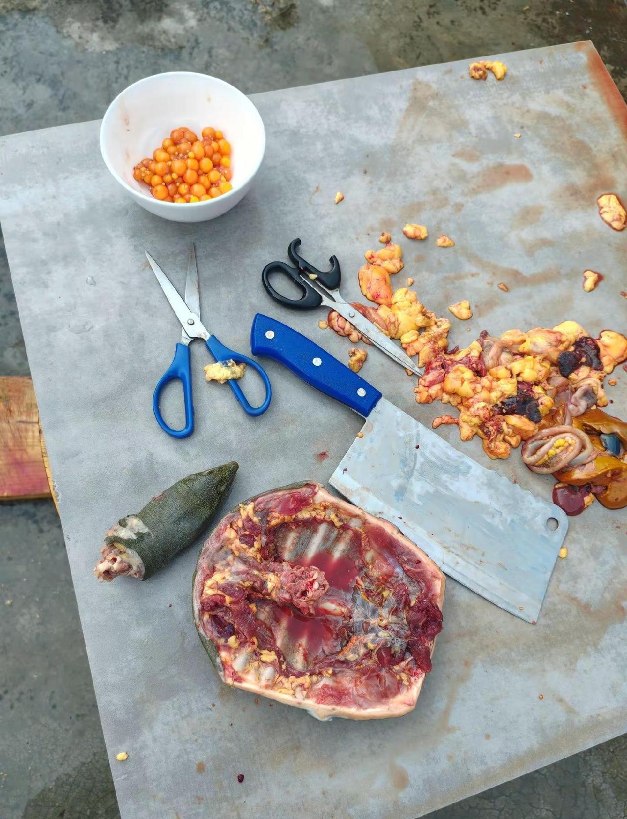 马年，祝我们，踏马相逢，不问旧，成己不止，丙午时✌✌✌