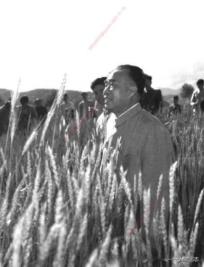1958年7月，朱德在西宁市郊区农村视察。