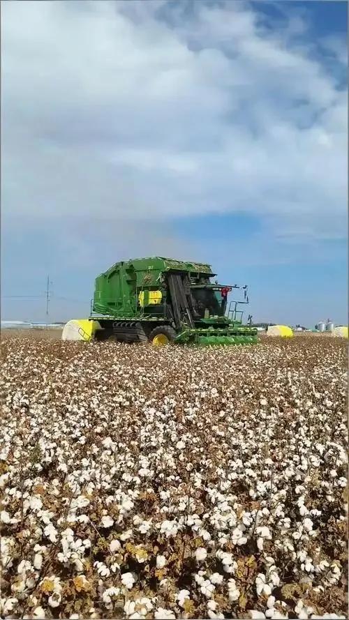 英国广播公司（BBC）应向新疆各族人民赔礼道歉
    反华急先锋英国广播公司（