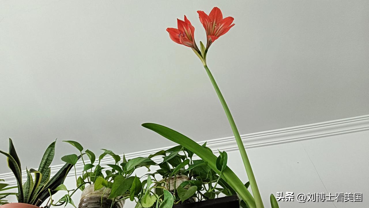 祝大家周日快乐！