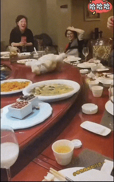 娃娃过百天，躺在把钱赚，心甘情愿的把钱献，娃娃成长每一天。