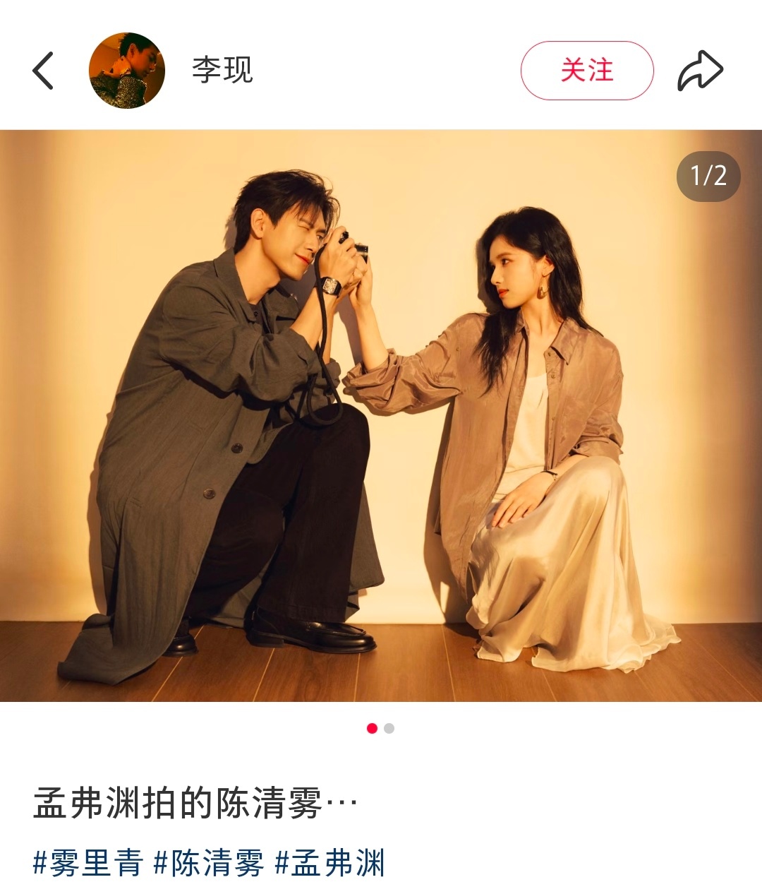 雾里青真是出奇的和谐啊