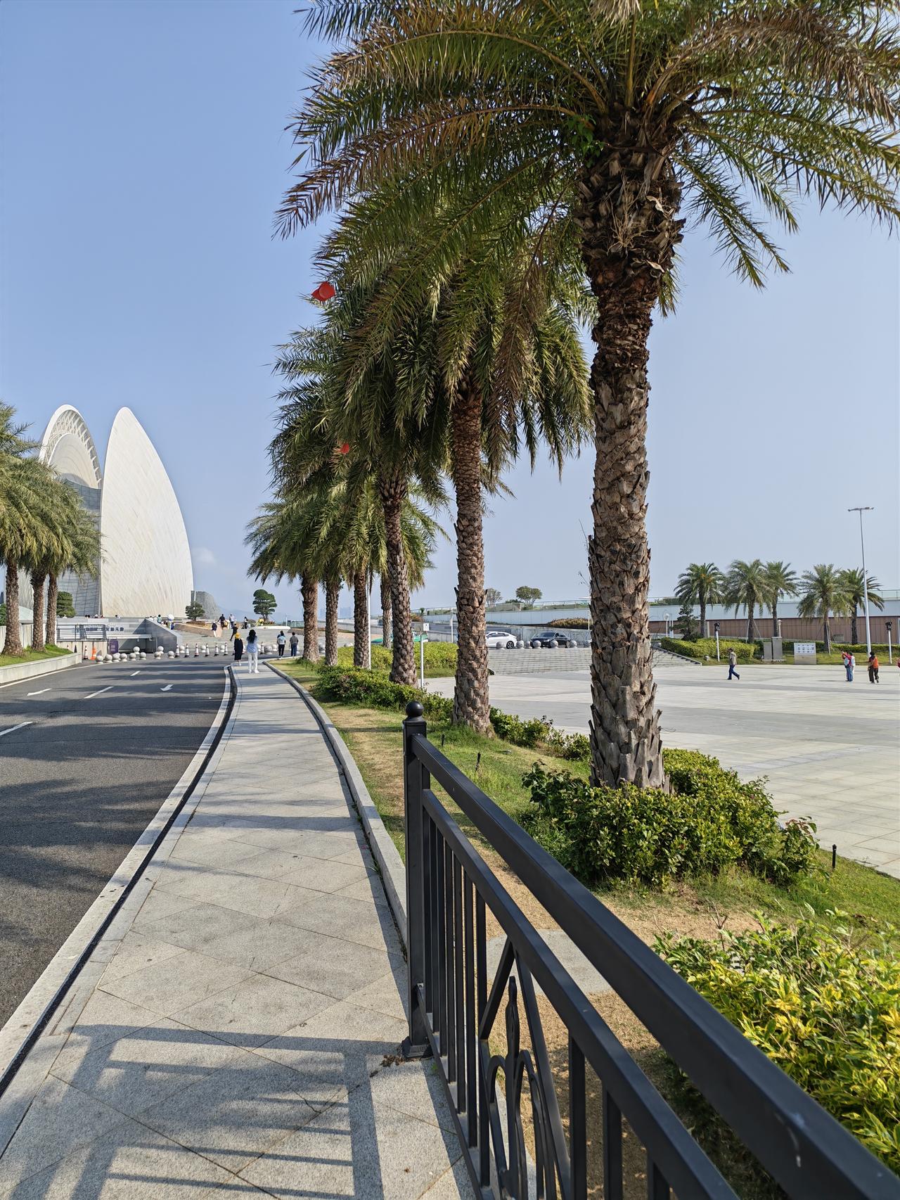 头条宛如一座大学堂
来到头条，我不仅发布了一些小作品，还学到了许多知识。
这些知