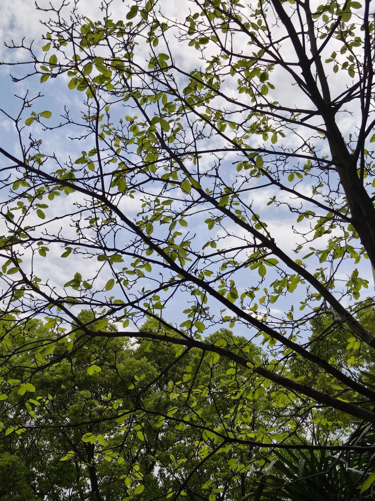 今天又周四了！提现了52.35元，
是不是有点少呀！
都两周了～上周就几块钱没提