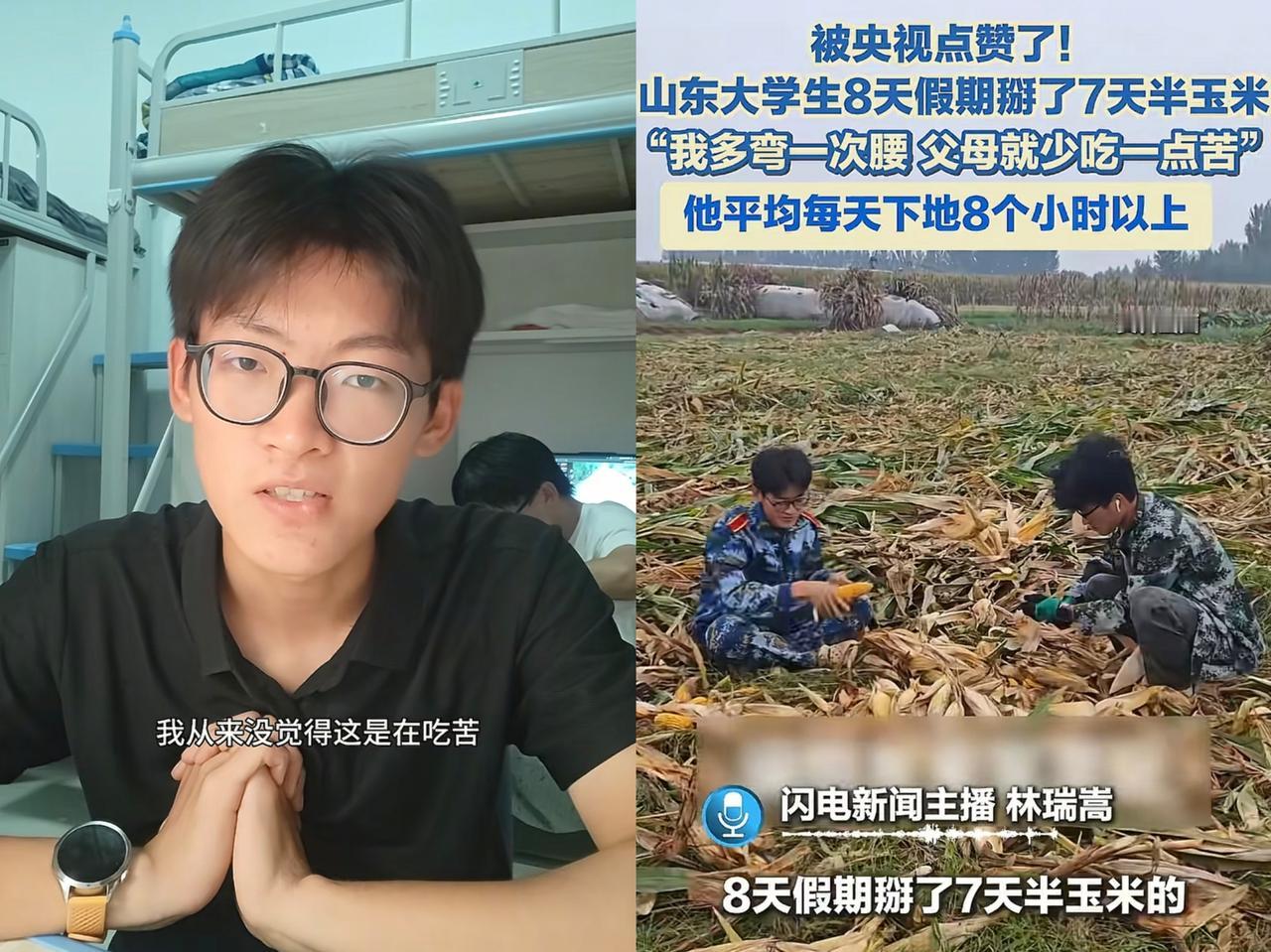 多弯一次腰，父母就少吃一点苦！山东一大学生国庆8天假期，7天半都在泥巴地里掰玉米