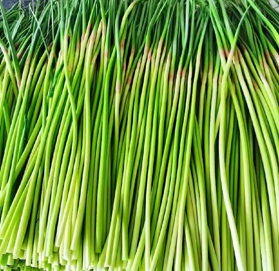 吃不完，根本吃不完
卖不掉，根本卖不掉
亲戚送亲戚，邻居送邻居
送情人都会闹脾气