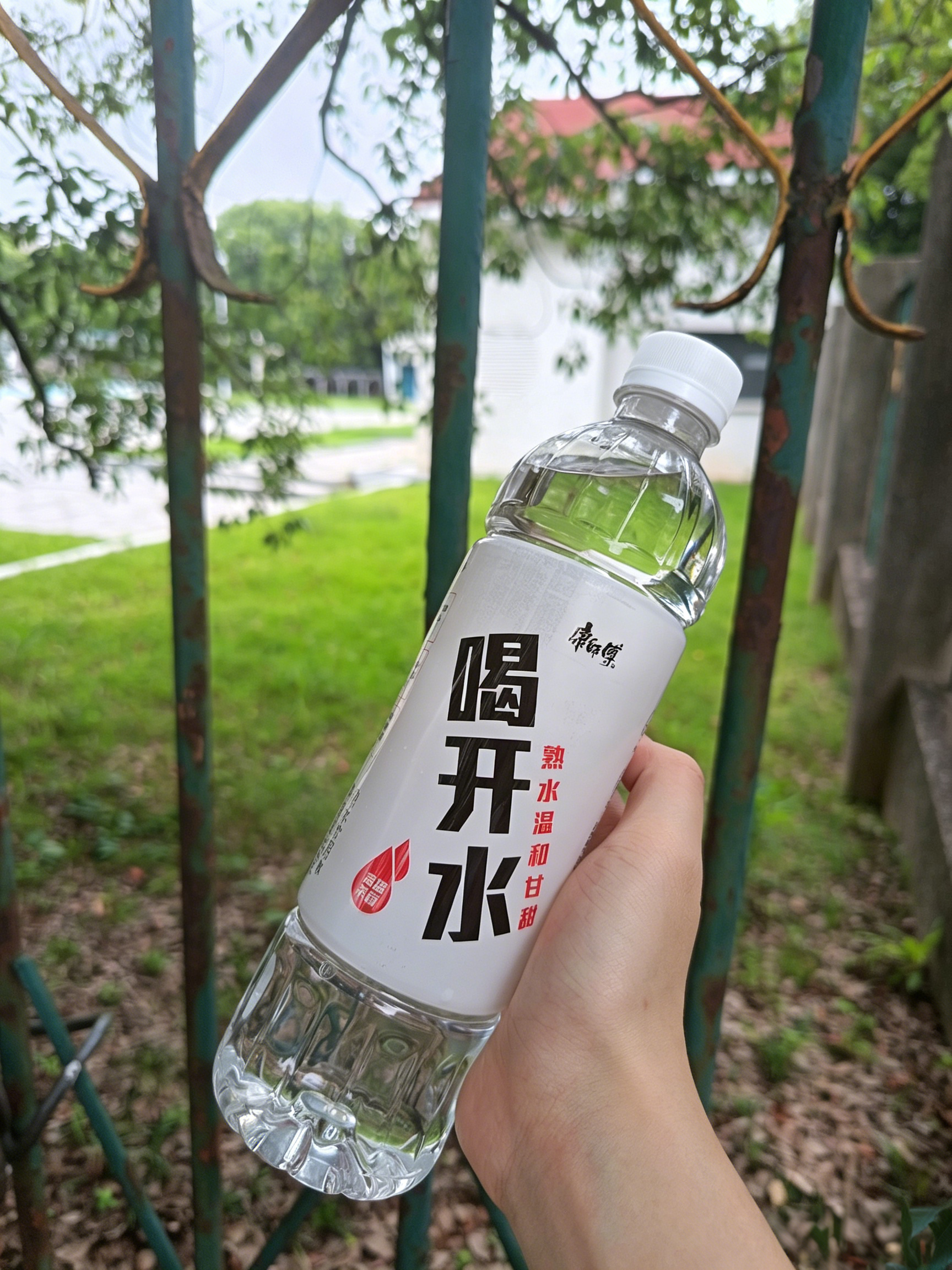 说出来有点丢人，追《问心2》被一句“少刺激肠胃” 戳中，当场就把购物车的冰饮全删
