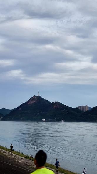 雨停了，宜昌那片奇特的花还在吗？
宜昌城区磨基山，是市民登山健身的好地方，几度规