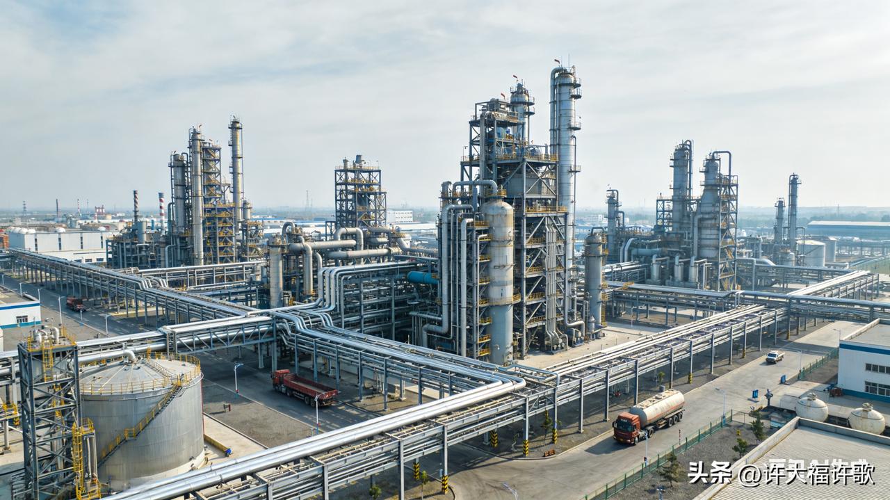 突发黑天鹅！全球甲醇心脏停摆，A股冰火两重天！这些公司赚翻，这些公司巨亏！⚠️