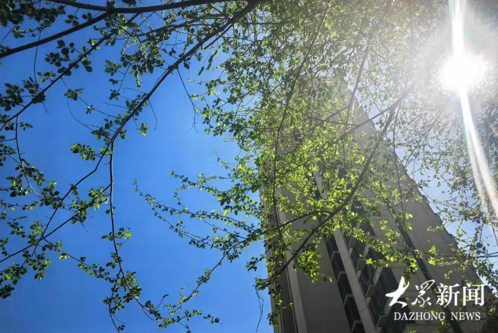 清明假期，来济南这里摘榆钱儿！-app/#/content?catid=39&i