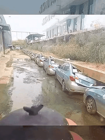 这么多车，就这样报废掉了